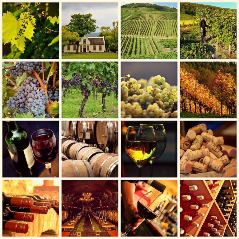 wine regions of France